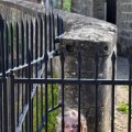 20110522_290
