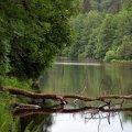20110604_116
