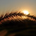 20111001_212