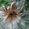 20120804_137