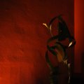 39-20130531_092